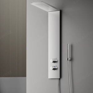 HS1077 Shower Set
